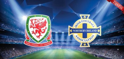 Видео обзор матча Уэльс - Северная Ирландия (24.03.2016)