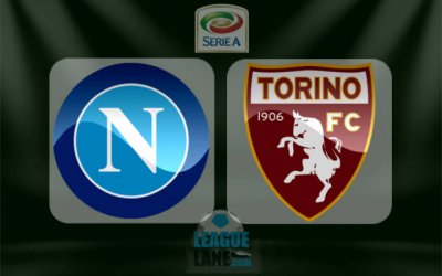 Видео обзор матча Наполи - Торино (18.12.2016)