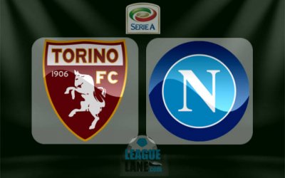 Видео обзор матча Торино - Наполи (14.05.2017)