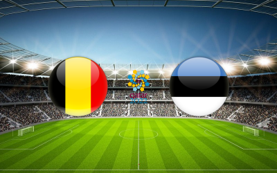 Видео обзор матча Бельгия - Эстония (13.11.2021)