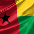 Гвинея-Бисау - Египет прямая трансляция смотреть онлайн 15.01.2022