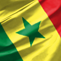 Сенегал - Египет прямая трансляция смотреть онлайн 06.02.2022